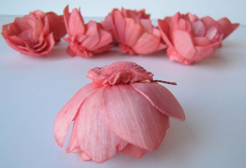 Watermelon Camellia Sola Flowers SET OF 10 , Sola Flowers, Wood Sola Flowers, Camelia Sola, Wedding DIY, Crafting Flowers image 6