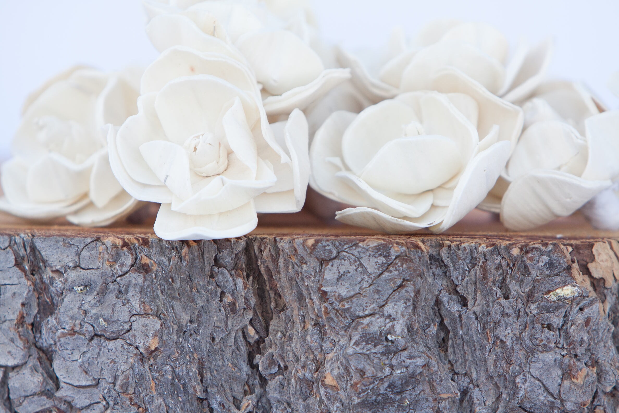 Premium Carnation Sola Flowers - Set of 5 , Sola Flowers, Wood Sola  Flowers, Balsa Wood Flowers, Craft Flowers, sola wood flowers