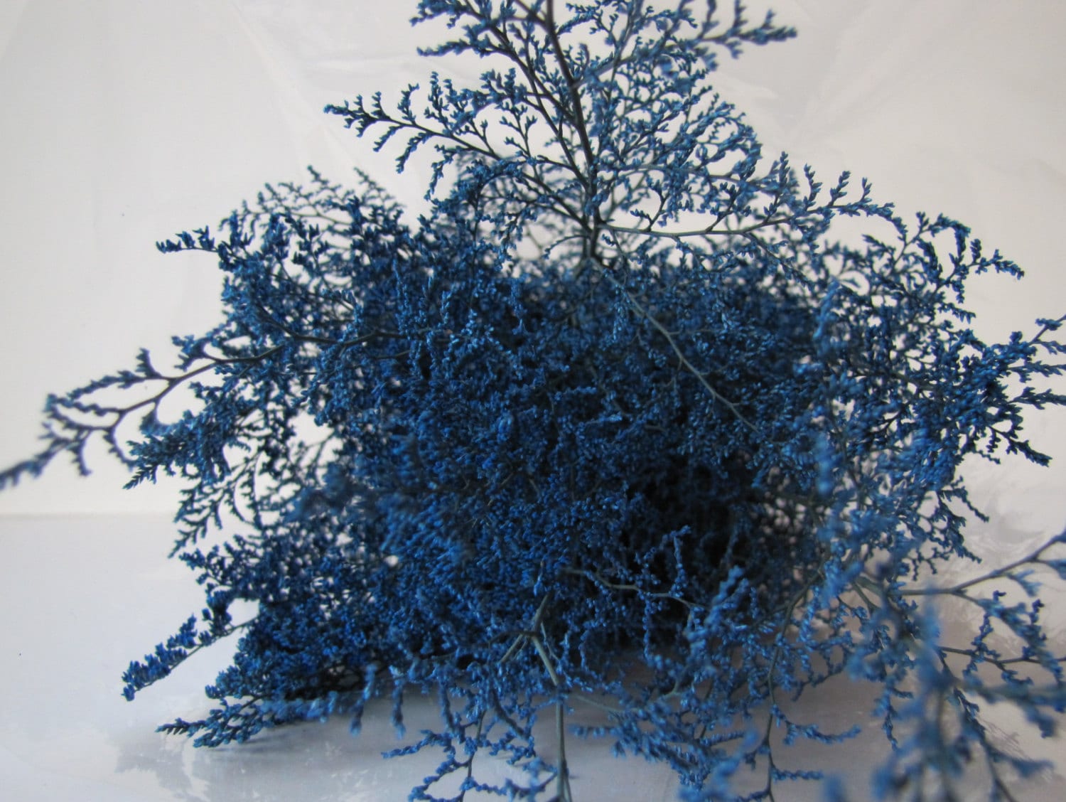 Blue Preserved Caspia Preserved Caspia, Dried Flowers Bunch, Dried Bunch  Table Decorations, Spring Wedding Decor, Blue Dried Flowers 
