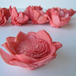 Watermelon Camellia Sola Flowers SET OF 10 , Sola Flowers, Wood Sola Flowers, Camelia Sola, Wedding DIY, Crafting Flowers image 3