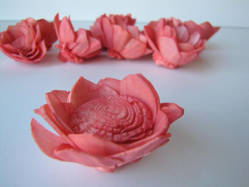 Watermelon Camellia Sola Flowers SET OF 10 , Sola Flowers, Wood Sola Flowers, Camelia Sola, Wedding DIY, Crafting Flowers image 3