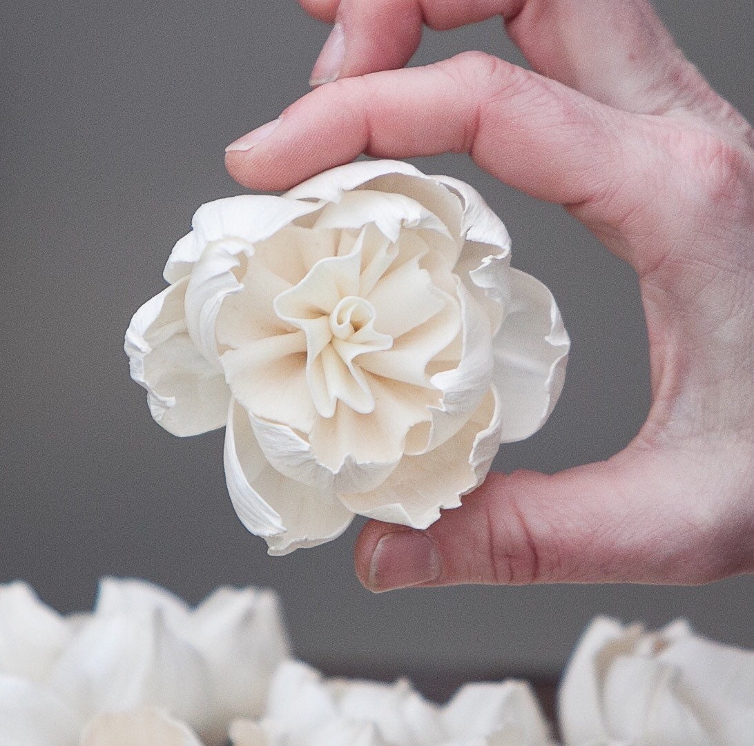 Premium Carnation Sola Flowers Set of 5 , Sola Flowers, Wood Sola