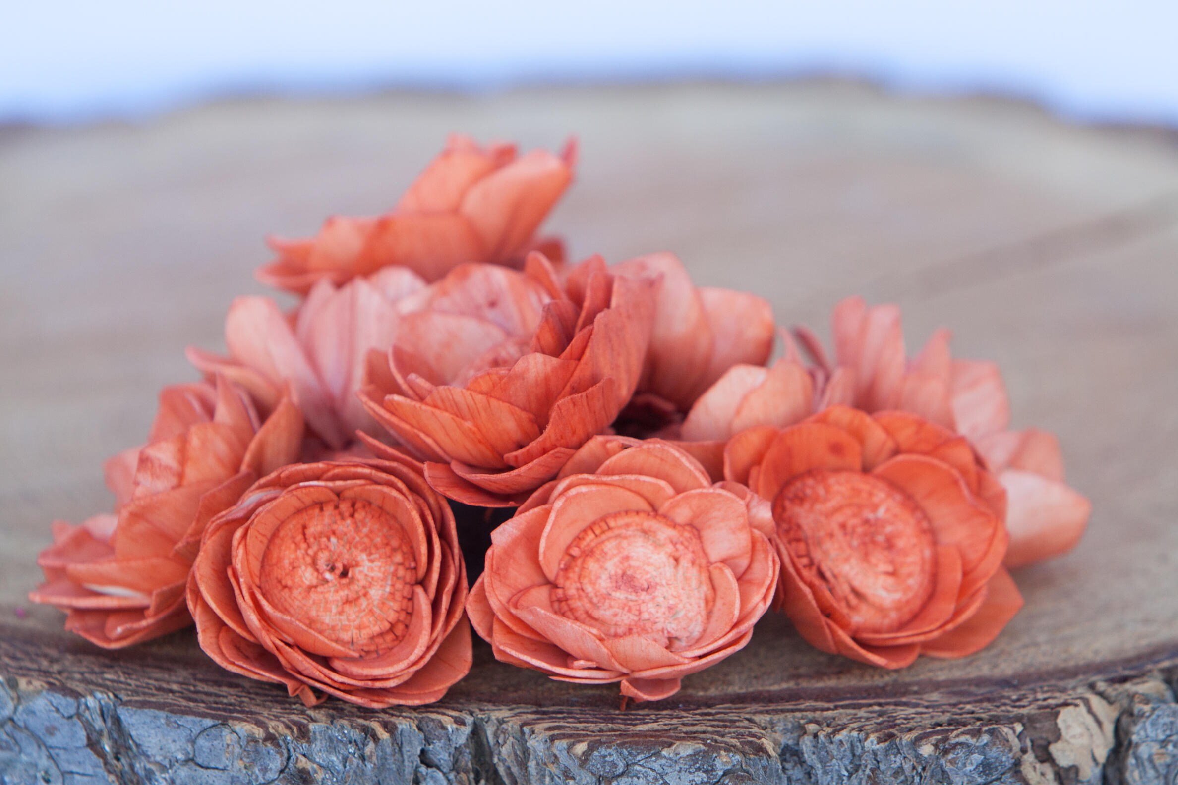 Orange Camellia Sola Flowers SET OF 10 , Orange Sola Flowers, Wood