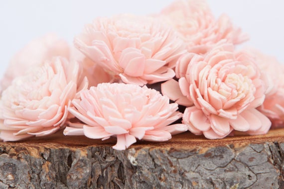 Blush Pink Belly Sola Flowers - SET OF 10 , Sola Flowers, Wood Sola Flowers, Belli Sola, Balsa Wood Flowers, Sola Flowers, craft flower, DIY