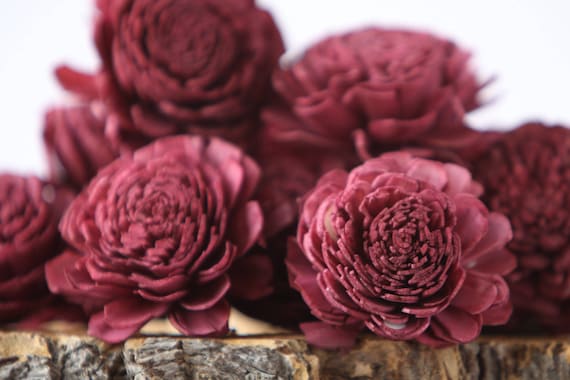 Burgundy Belly Sola Flowers - SET OF 30