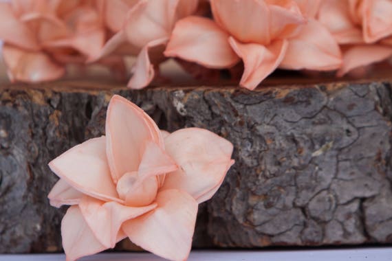 Peach Star Magnolia Sola Flowers - SET OF 40
