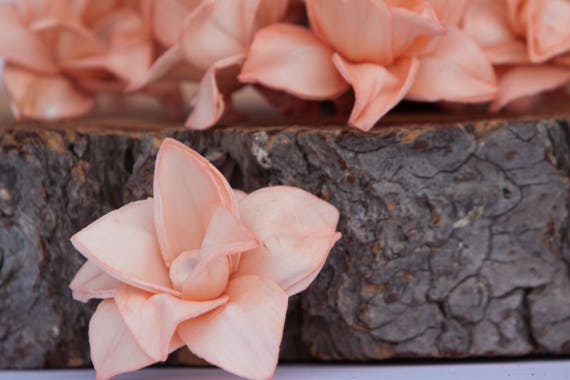 Peach Star Magnolia Sola Flowers - SET OF 10 , Peach Sola Wood Craft Flowers