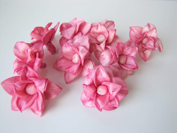 Hot Pink Star Magnolia Sola Flowers - SET OF 20