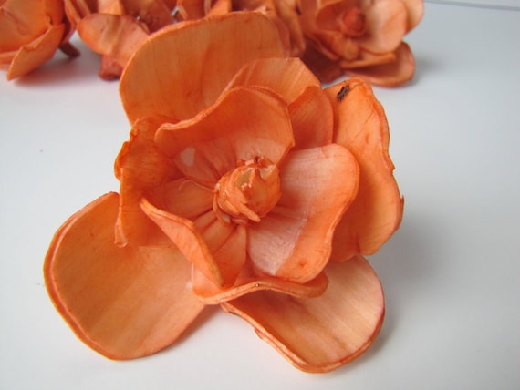 Premium Carnation Sola Flowers - Set of 5 , Sola Flowers, Wood Sola  Flowers, Balsa Wood Flowers, Craft Flowers, sola wood flowers
