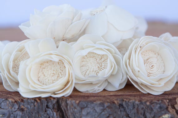 Camellia Sola Flowers - Sold in Sets 100, 200 & 500