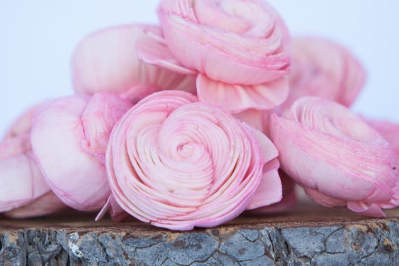 Baby Pink Sola Shell Flowers - SET OF 10