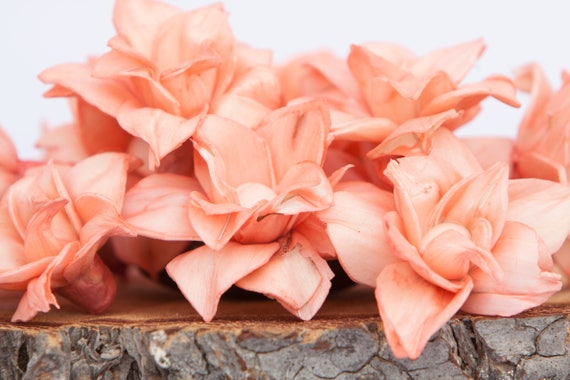 Coral Star Magnolia Sola Flowers - SET OF 10 , Sola Flowers, Coral Sola Wood Flowers, Magnolia Sola, Balsa Wood, craft flowers, DIY flowers