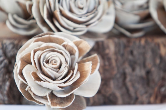 Two Toned Belly Sola Flowers - SET OF 50