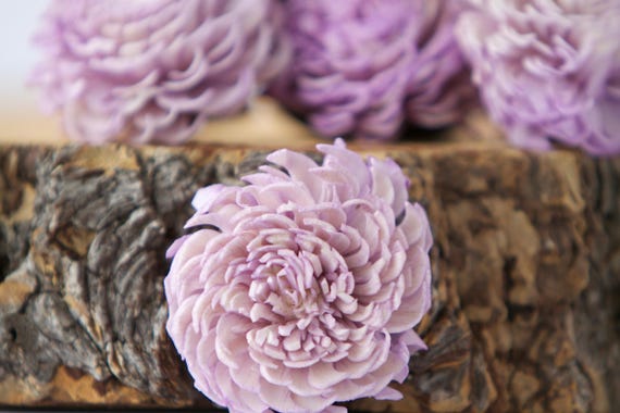 Lavender Chorki Sola Flowers