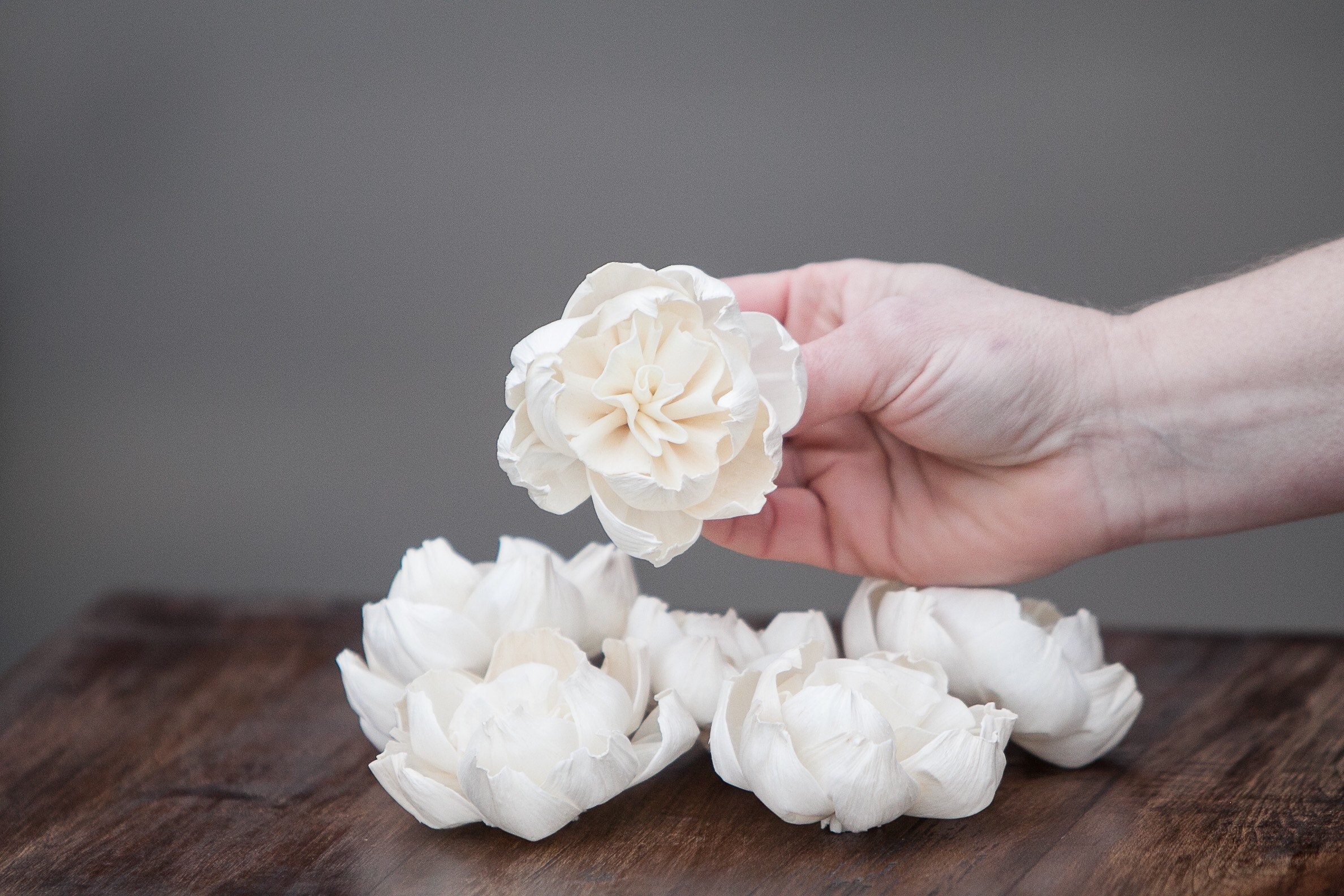 Premium Carnation Sola Flowers Set of 5 , Sola Flowers, Wood Sola