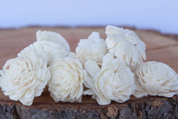 Belly Sola Flowers - Set of 100
