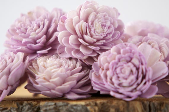 Purple Belly Sola Flowers - SET OF 80