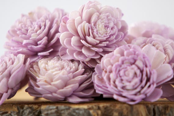 Purple Belly Sola Flowers - SET OF 10