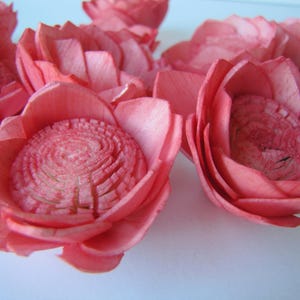 Watermelon Camellia Sola Flowers SET OF 10 , Sola Flowers, Wood Sola Flowers, Camelia Sola, Wedding DIY, Crafting Flowers image 5