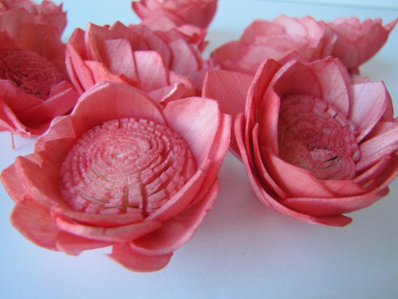 Watermelon Camellia Sola Flowers SET OF 10 , Sola Flowers, Wood Sola Flowers, Camelia Sola, Wedding DIY, Crafting Flowers image 5