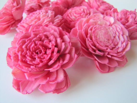 Hot Pink Belly Sola Flowers - SET OF 40