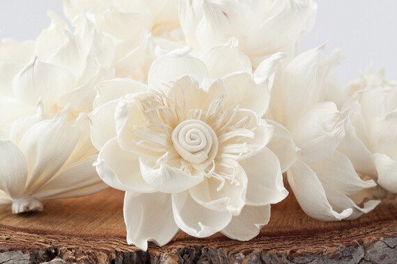 Set of 10 Wood Sola Flowers Delphinium Sola Flowers Craft Flowers Balsa Wood Flowers