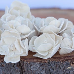 Sola Magnolia Flowers Sold in Sets of 10, 50 & 100 image 5