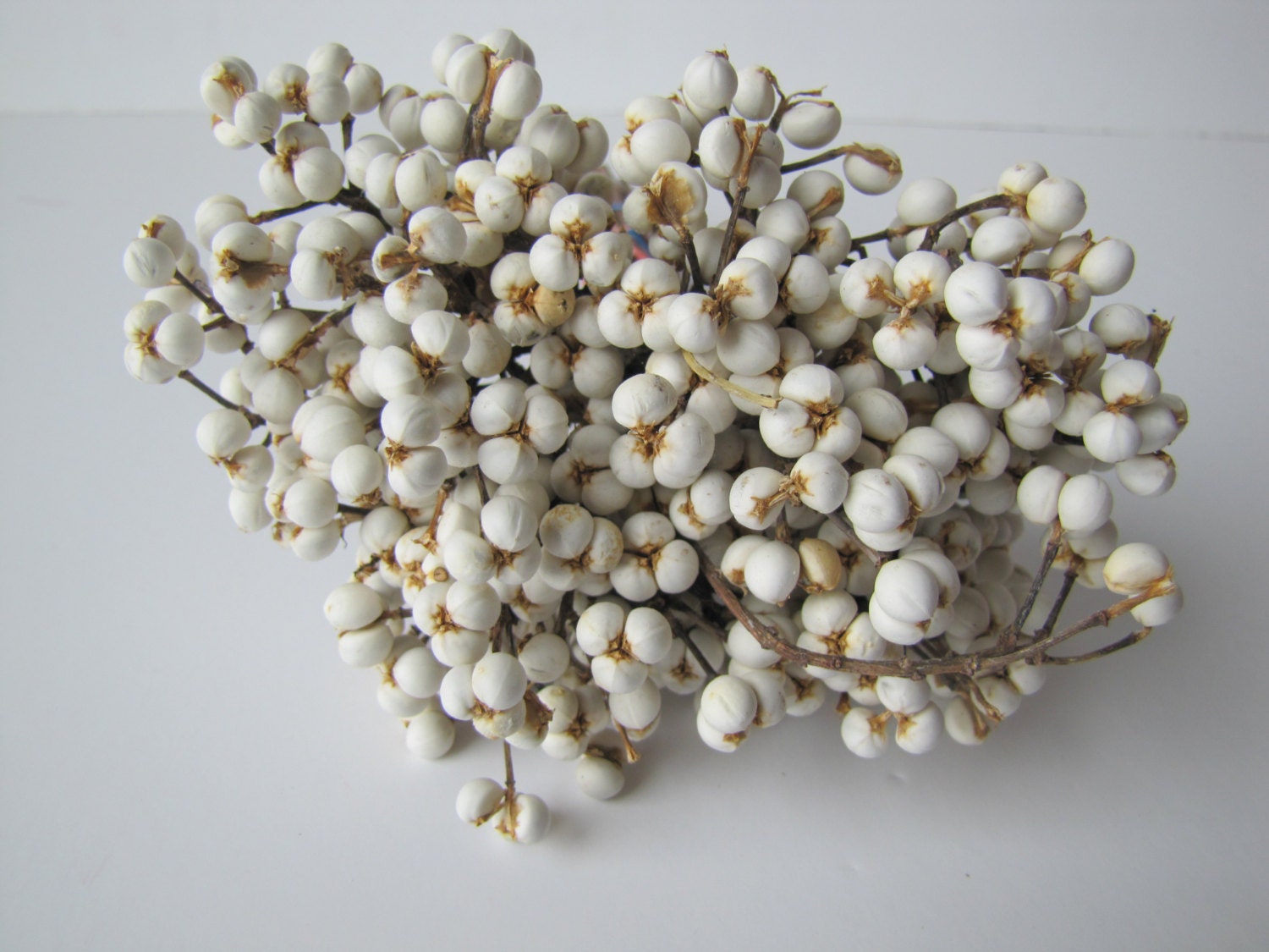 Dried Tallow Berry Imported