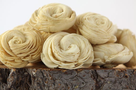 Champagne Sola Shell Flowers - SET OF 10 , Sola Flowers, Wood Sola Flowers, Balsa Wood Flowers, Wedding DIY, Craft Flowers, Shell flower