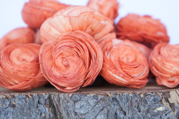 Orange Sola Shell Flowers - SET OF 70