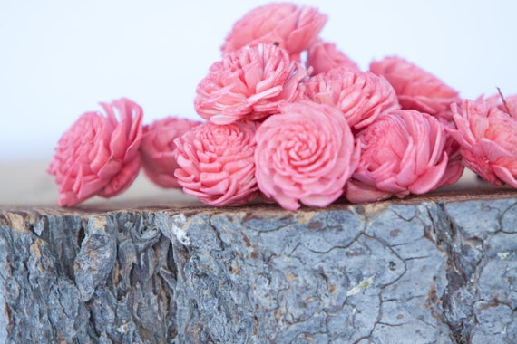 Watermelon Mini Chorki Flowers - Set of 15 , Pinkish Coral mini chorki sola flowers, sola flowers, balsa wood sola flowers