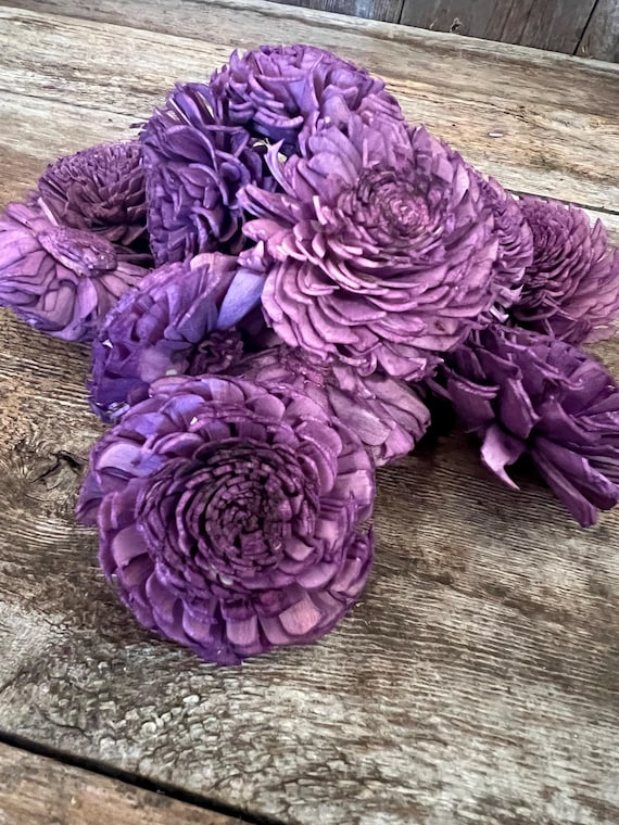 Purple Chorki Sola Flowers