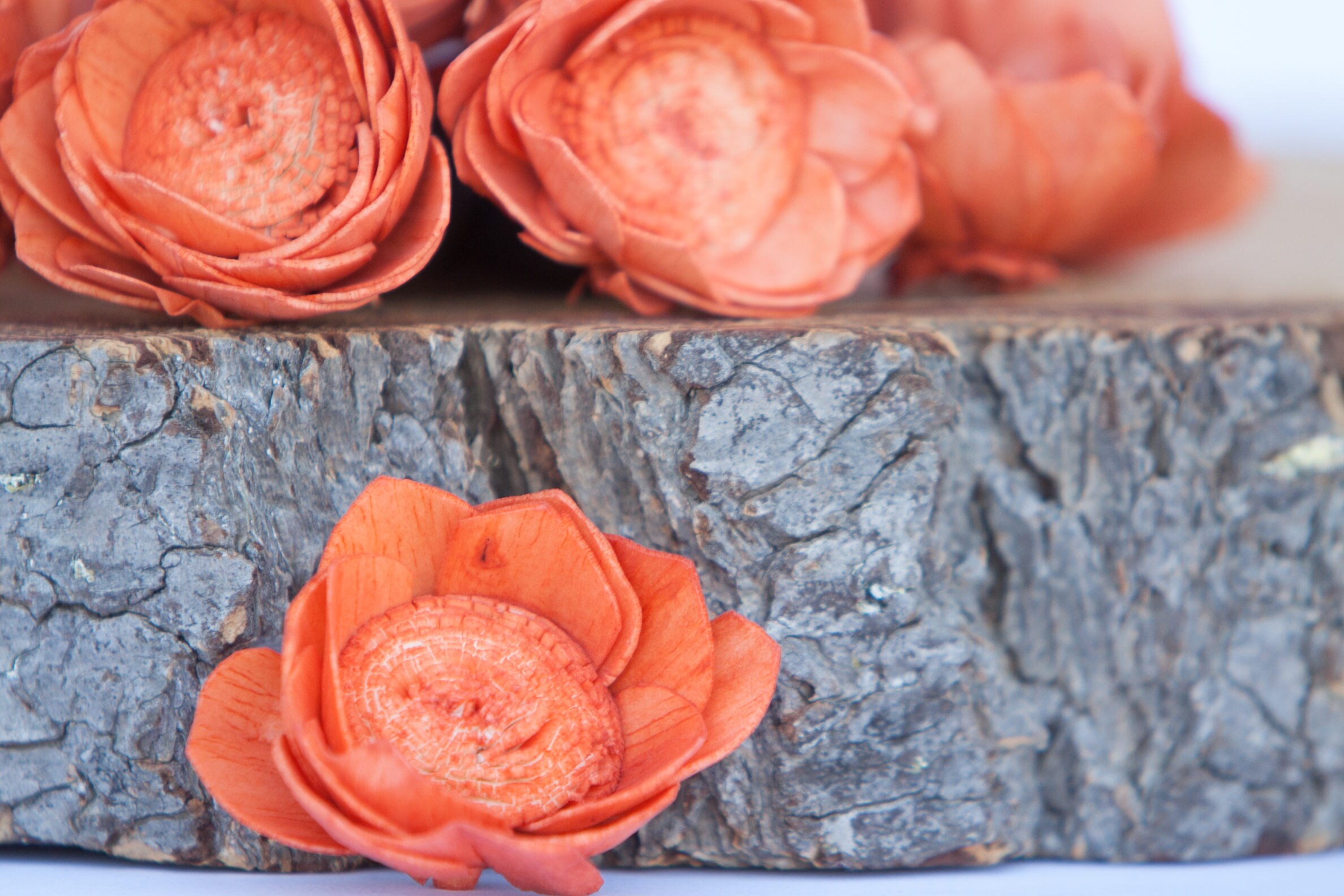 Orange Camellia Sola Flowers SET OF 10 , Orange Sola Flowers, Wood