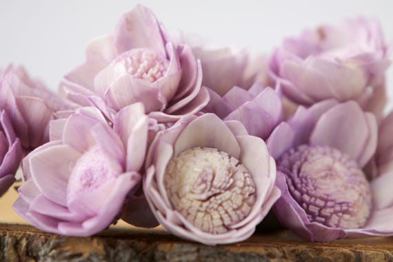 Lavender Camellia Sola Flowers - SET OF 80