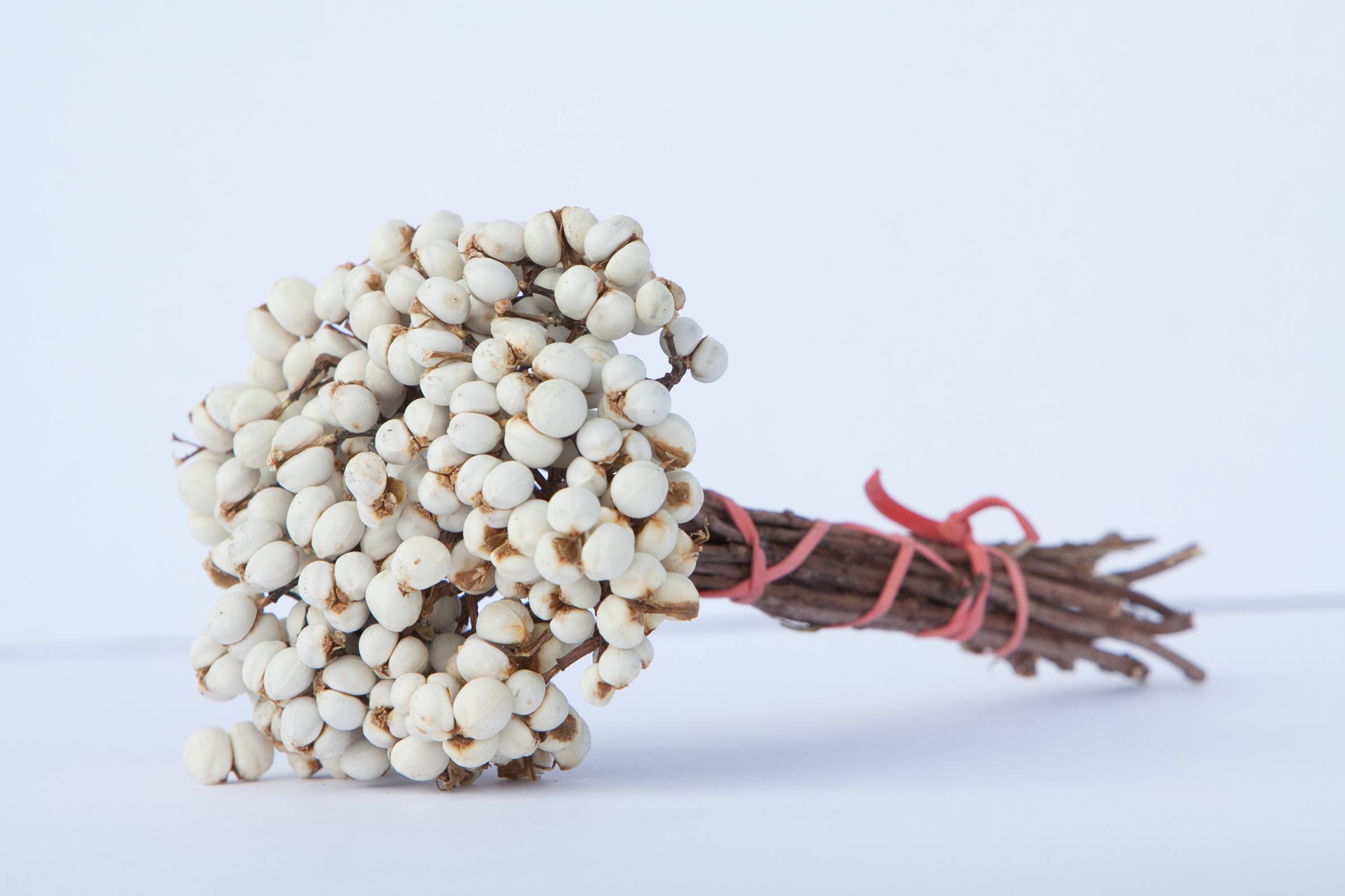 Dried Tallow Berry Imported