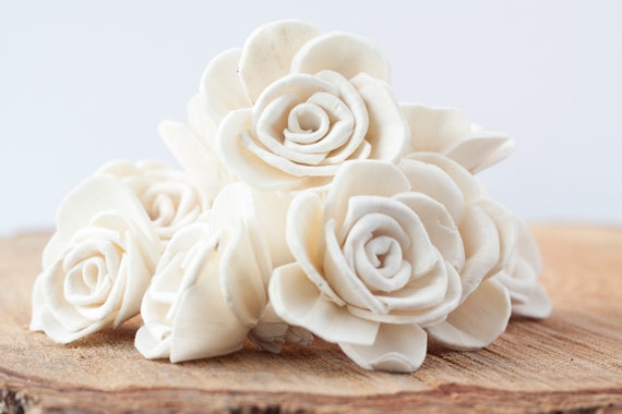 Maria Rose Sola Flowers - Set of 100 & 200