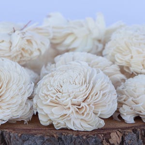 Large Chorki Sola Flowers - Sold in Sets of 10, 50 & 100