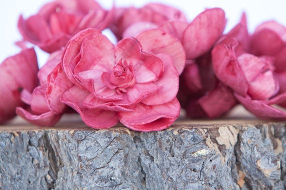 Red Sola Magnolia Flowers - SET OF 10