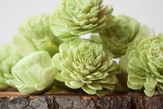 Green Belly Sola Flowers - SET OF 10