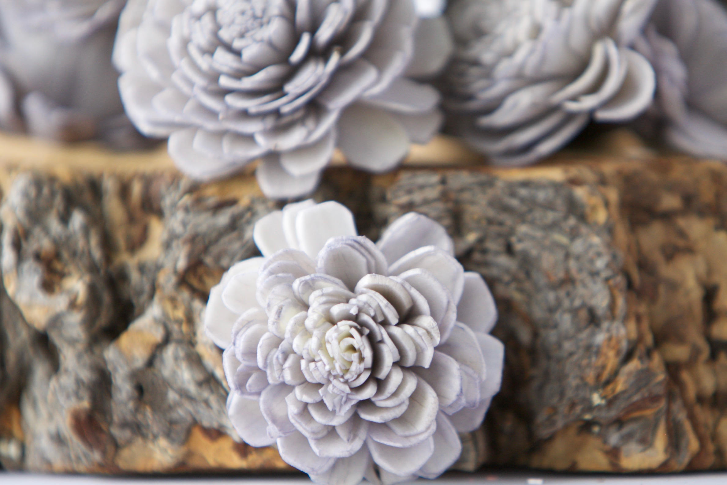 Grey Belly Sola Flowers SET OF 10 , Sola Flowers, Wood Sola Flowers