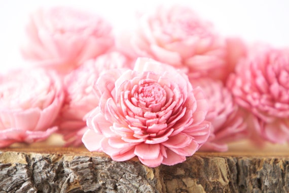 Baby Pink Belly Sola Flowers - SET OF 20