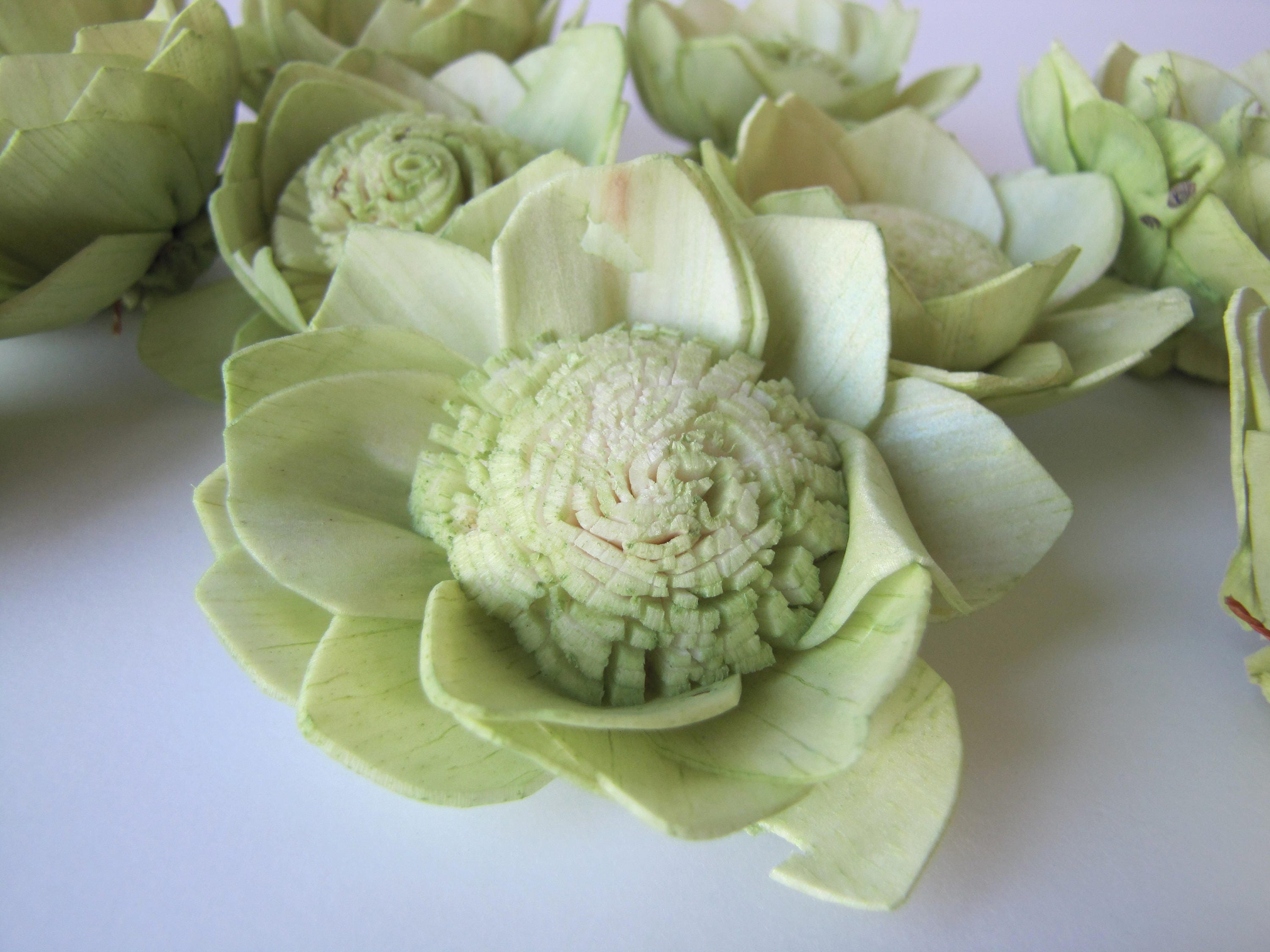 Green Camellia Sola Flowers SET OF 10 , Green Sola Flowers, Green Wood