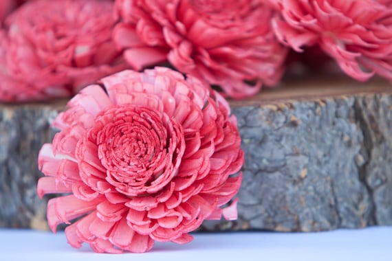 Watermelon Large Chorki Sola Flowers - Set of 30