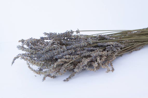 Dried Lavender - Dried Lavander - French Lavander