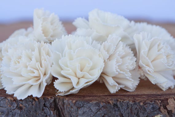 Carnation Sola Flowers - Set of 100