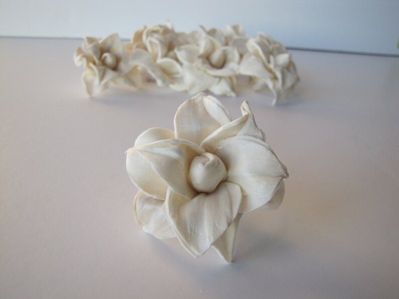 Star Magnolia Sola Flowers Sold in Sets of 10 50 /& 100