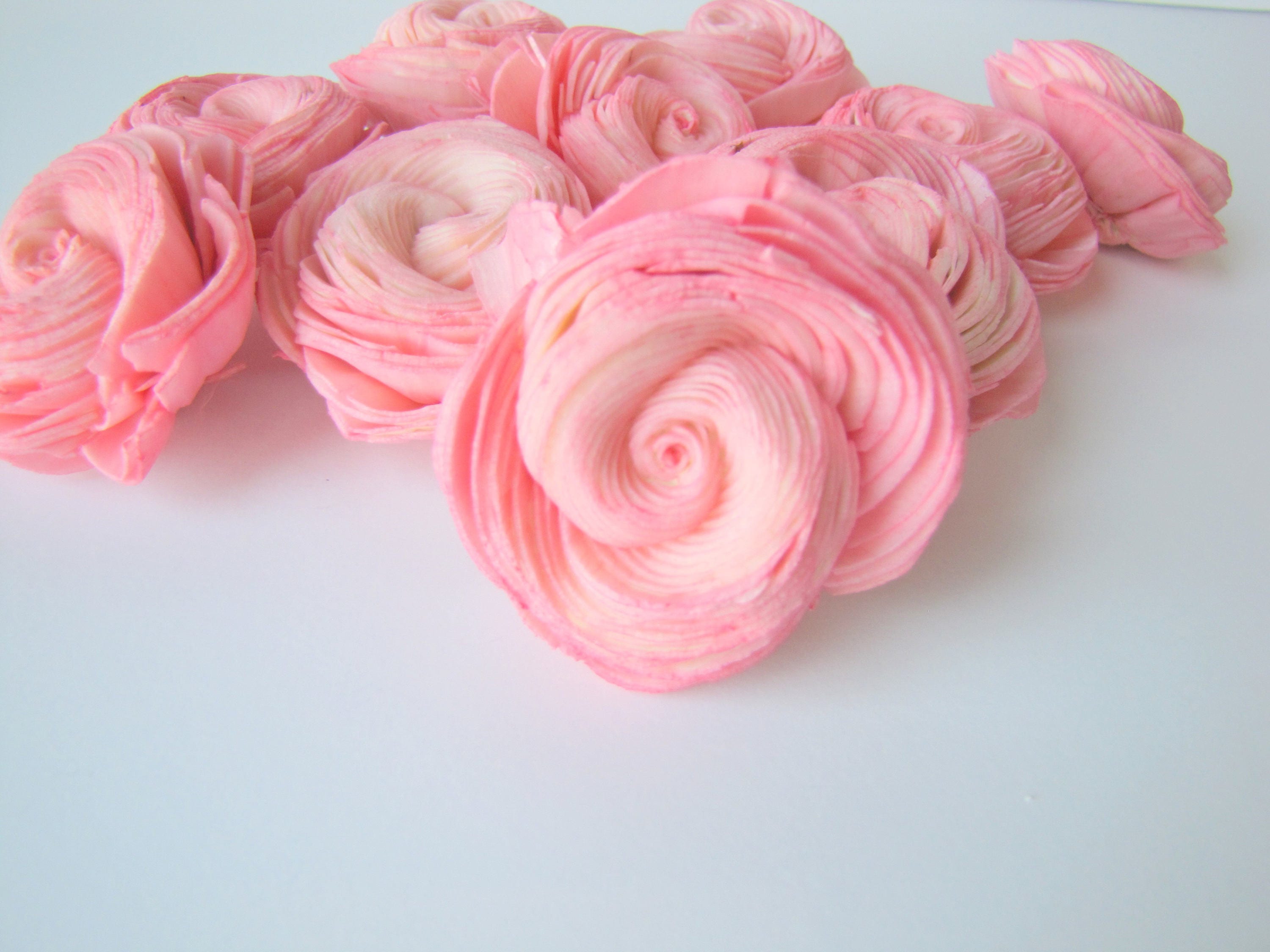 Baby Pink Sola Shell Flowers - SET OF 10