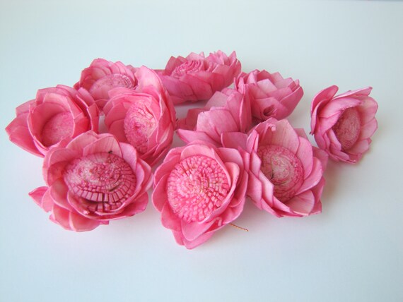Hot Pink Camellia Sola Flowers- SET OF 40