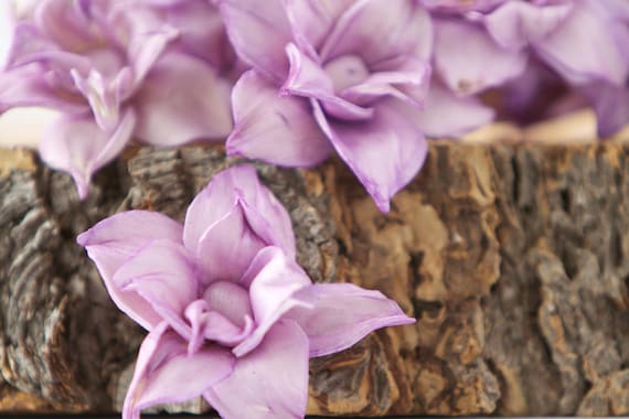 Lavender Star Magnolia Sola Flowers - SET OF 60