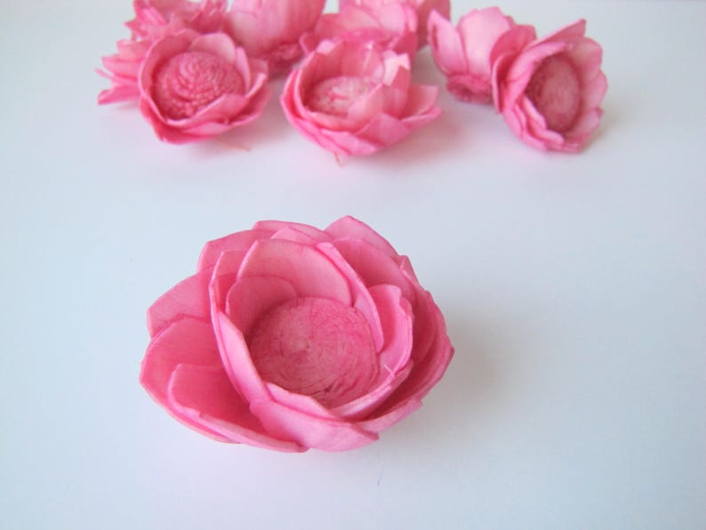 Camelia Sola Hot Pink Camellia Sola Flowers- SET OF 10 Hot Pink Sola Flowers Wedding DIY Crafting Flowers Wood Sola Flowers